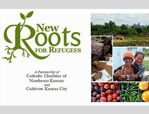 New Roots for Refugees