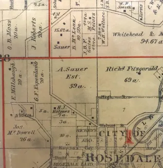 The Sauer plat map