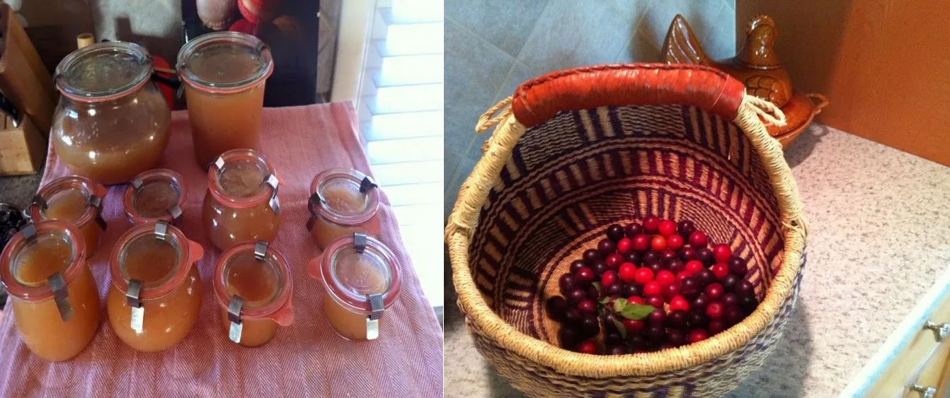 Plums in a basket and plum jam in jars