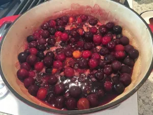 Washed plums in a pot