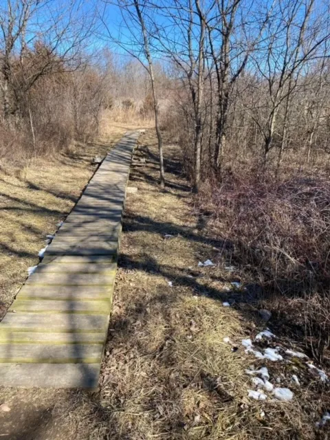 Boardwalks along the trail