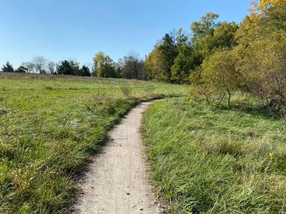 Hiking trail leading into the woods