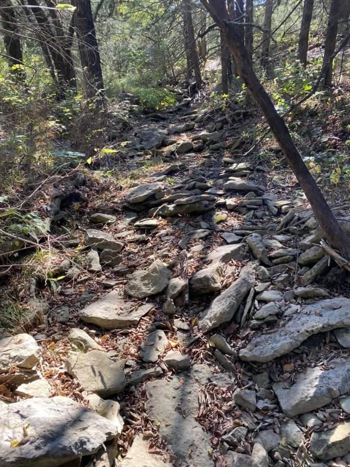 Trail in the woods