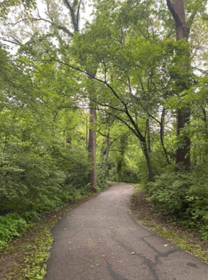 A trail with trees surrounding it providing shade