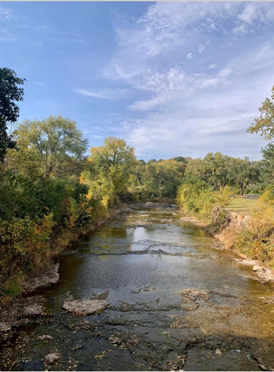 A shallow creek lined with trees under a blue sky with clouds