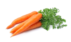 Carrots