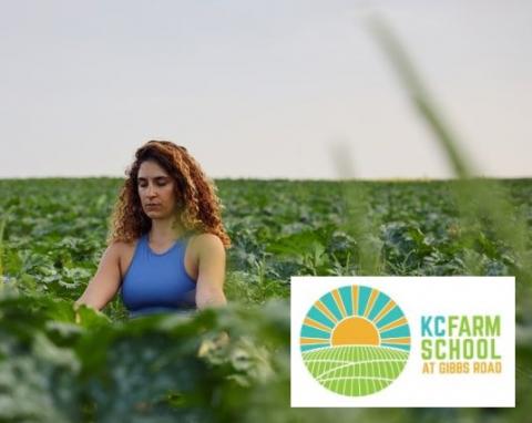 woman doing yoga in crop field