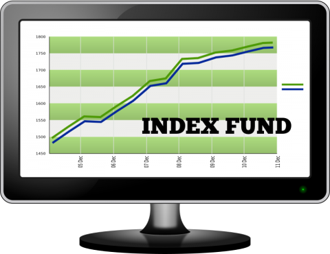 index fund metaphor