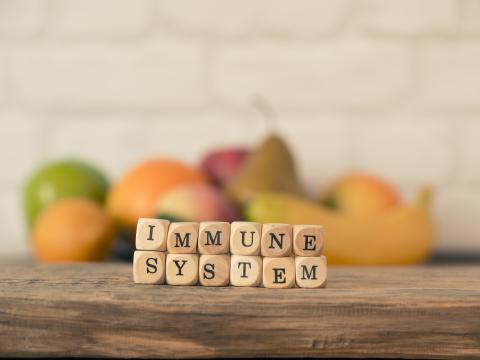 Immune System