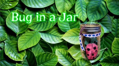 Bug in a Jar