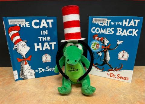 Cat in the Hat Mini Hat