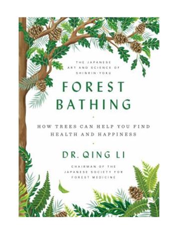 Forest Bathing