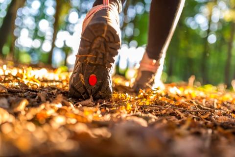 Close up on hiking boots on a trail in the forest. 