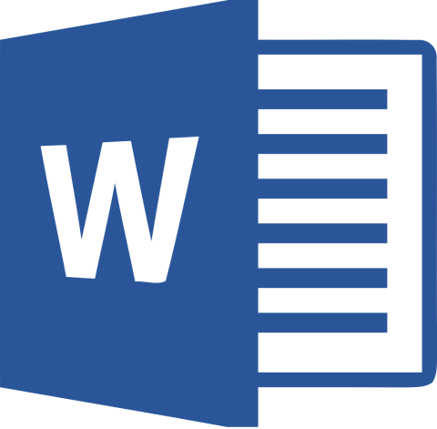 MS Word