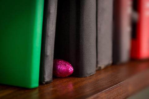 egg hidden between books on shelf