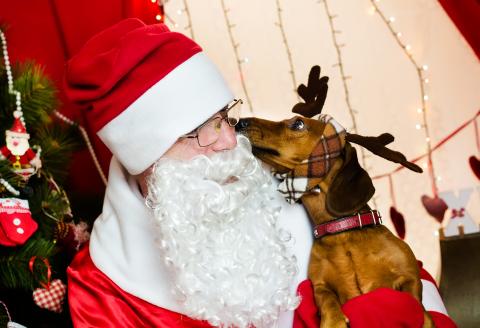 Santa with dog