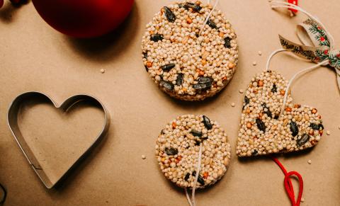 shapes made from birdseed and a cookie cutter