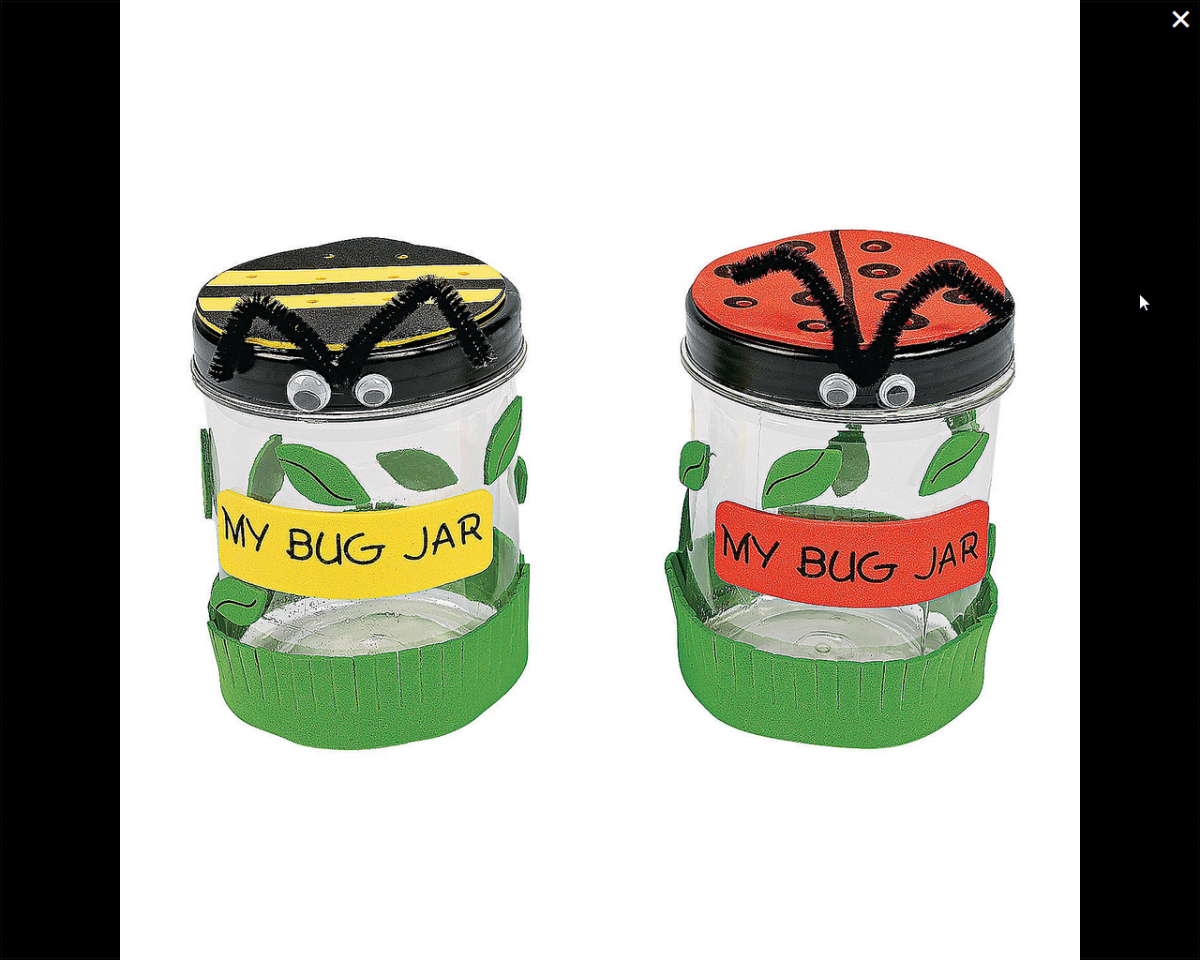 Bug Jar