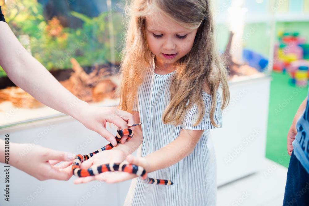 Milk Snake