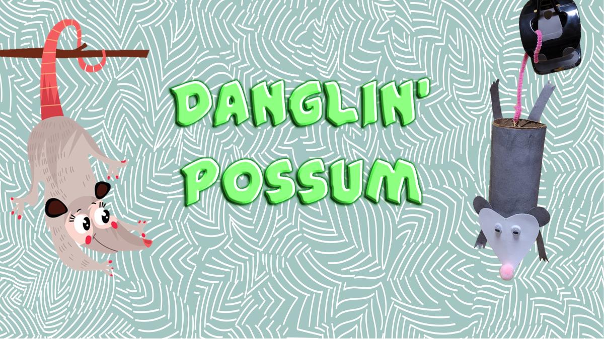 danglin possum