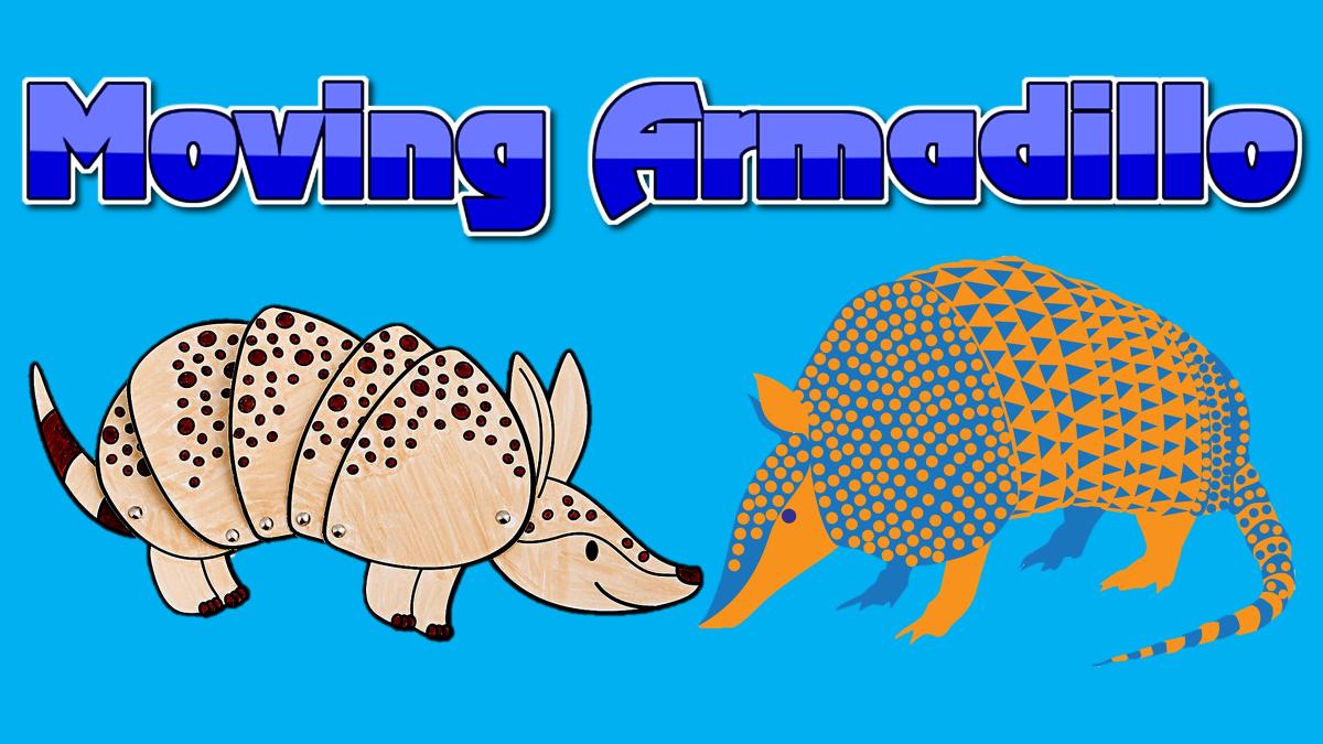 armadillo