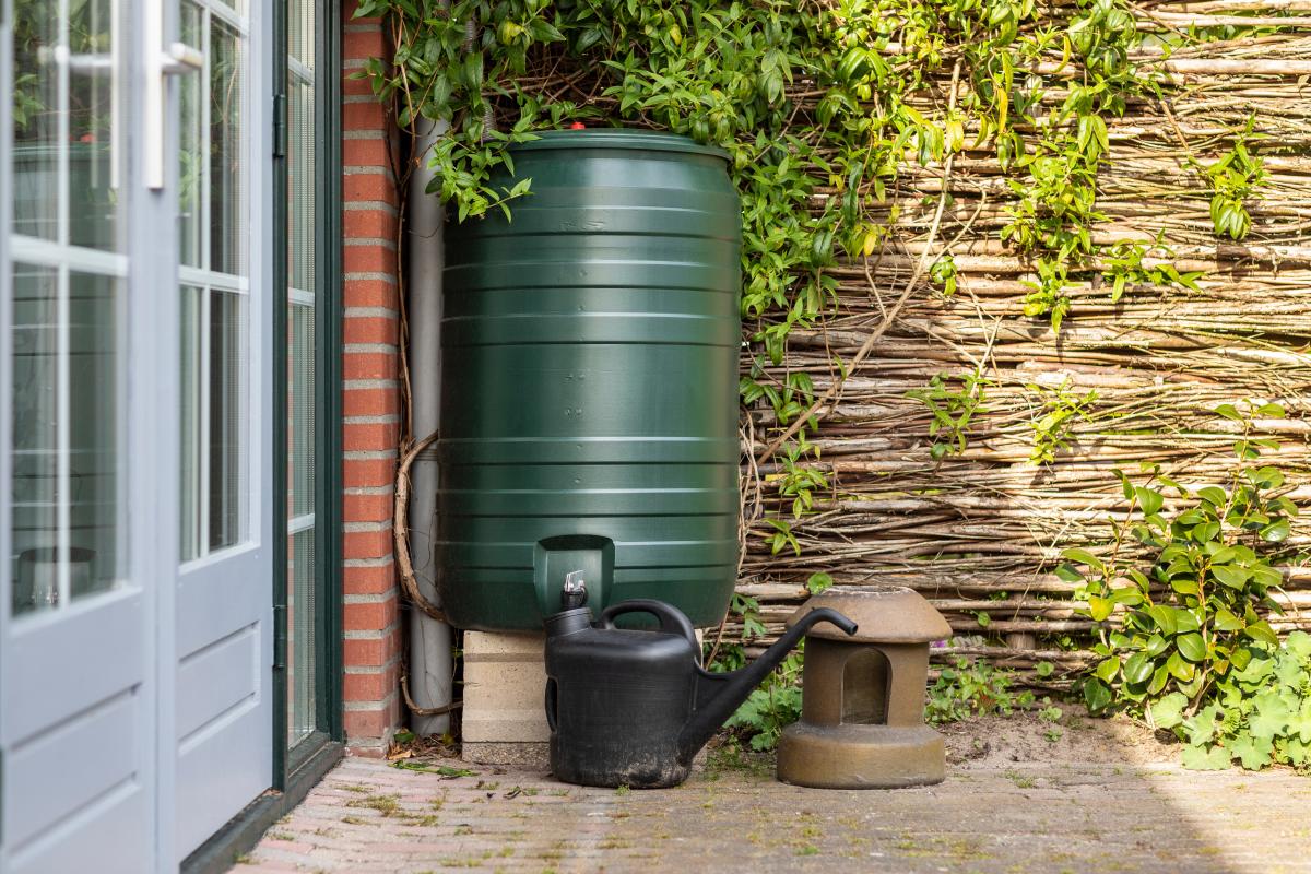 rain barrel