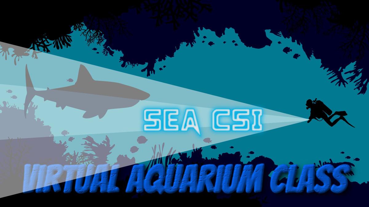 sea csi