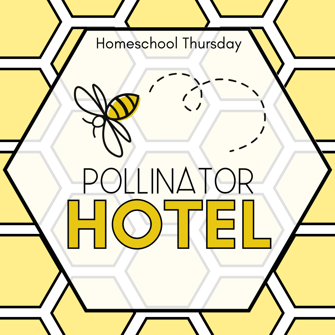 Honeycomb background with the words "Homeschool Thursday: Pollinator Hotel".