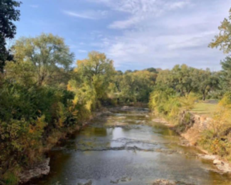 A shallow creek lined with trees under a blue sky with clouds